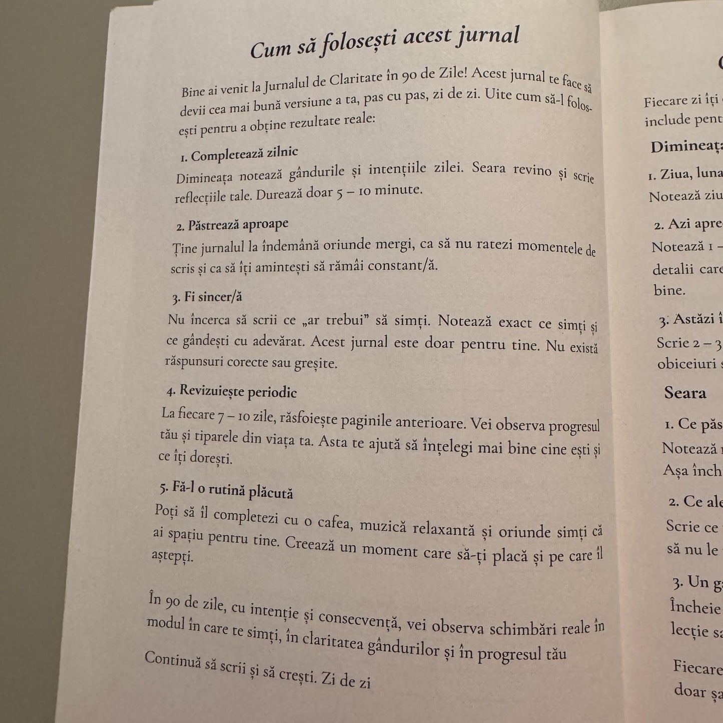Jurnalul de Claritate - 90 de Zile